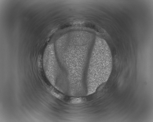 X0000080680083200701051045