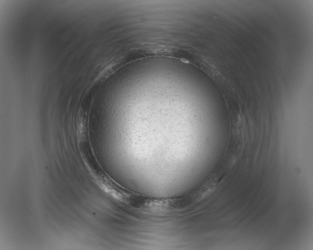 X0000080680084200701051045