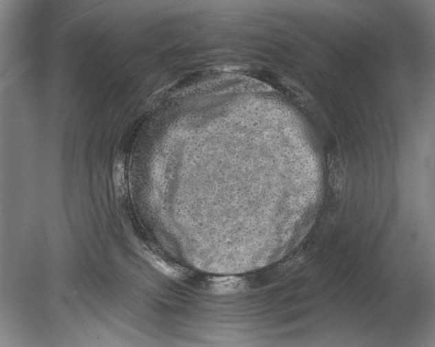 X0000080680087200701051045