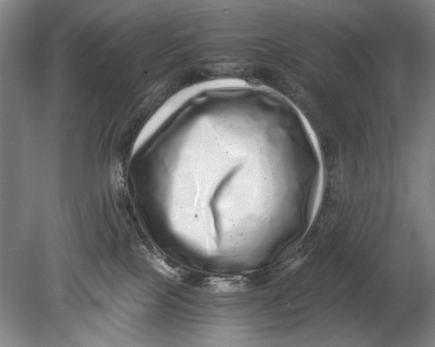 X0000080680089200701051045