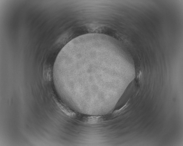 X0000080680090200701051045