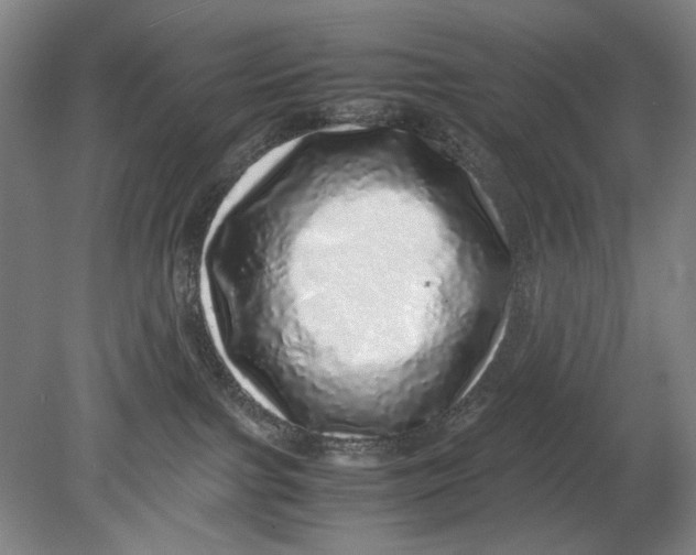 X0000080680091200701051045