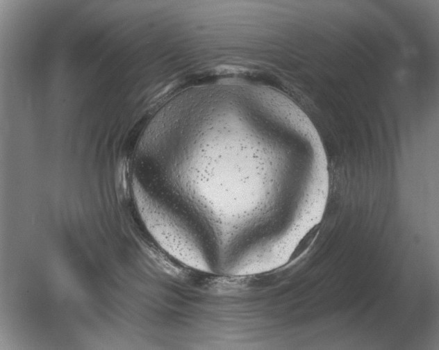 X0000080680094200701051045