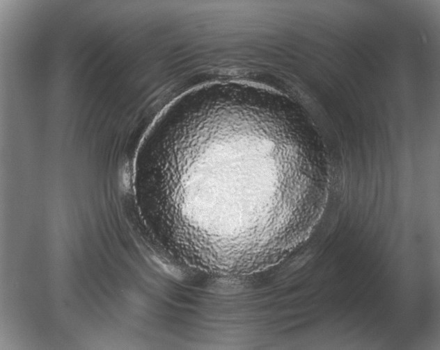 X0000080680095200701051045