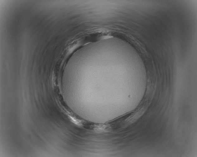 X0000080680096200701051045