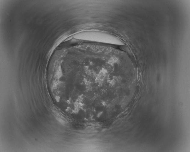 X0000080680099200701051044