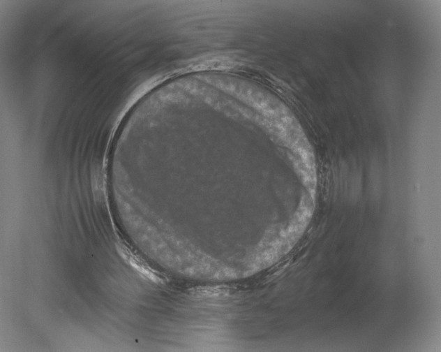 X0000080680100200701051044