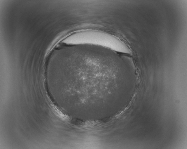 X0000080680101200701051044