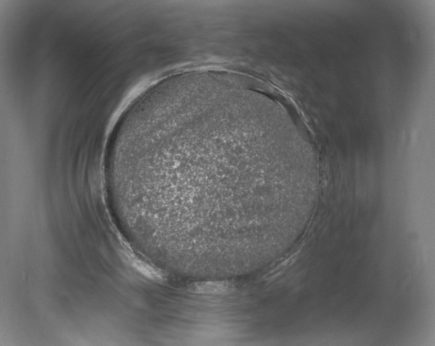 X0000080680102200701051044