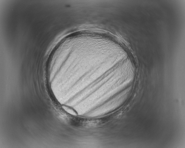 X0000080680103200701051044