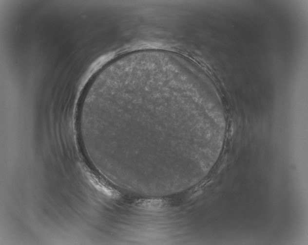 X0000080680104200701051044