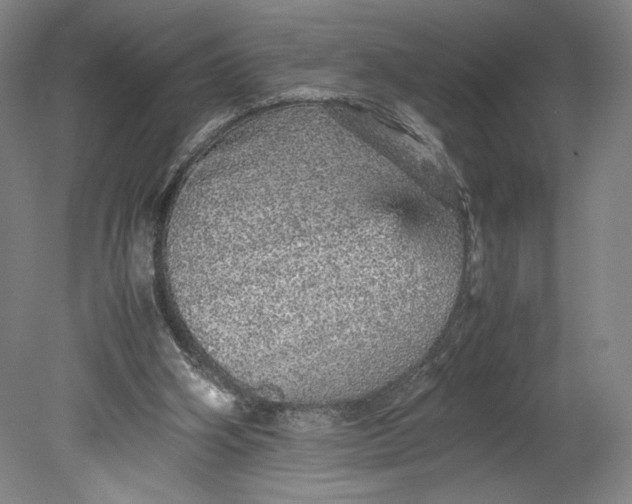 X0000080680106200701051044