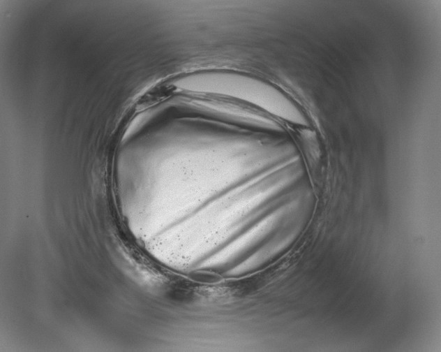 X0000080680107200701051044