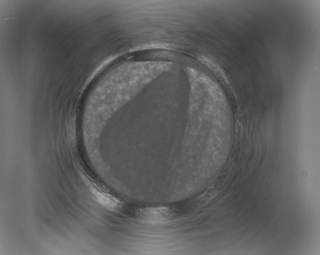 X0000080680108200701051044