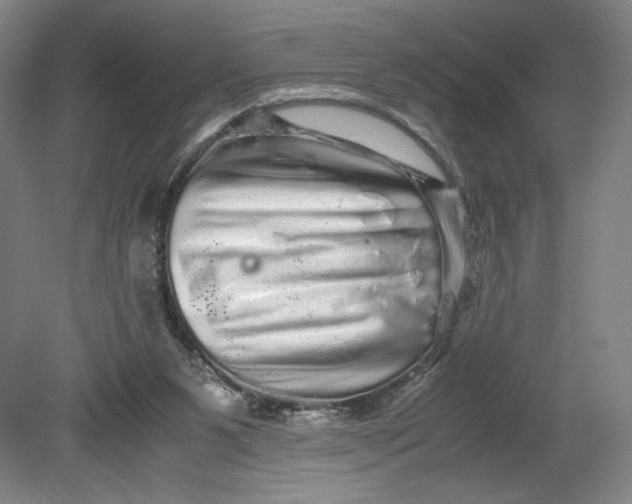 X0000080680111200701051044