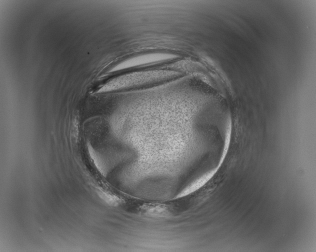 X0000080680113200701051044