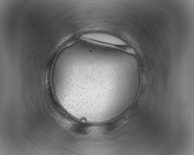 X0000080680115200701051044