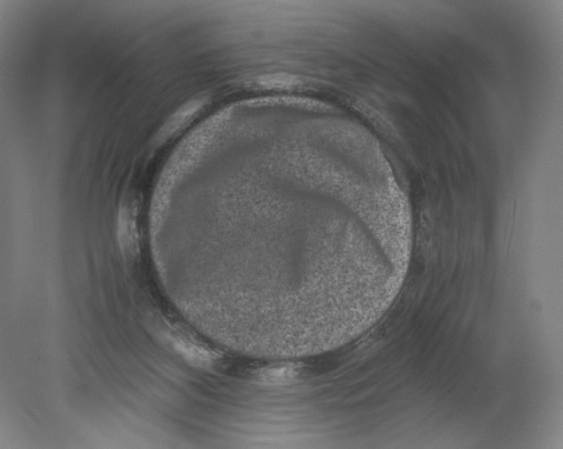 X0000080680116200701051044