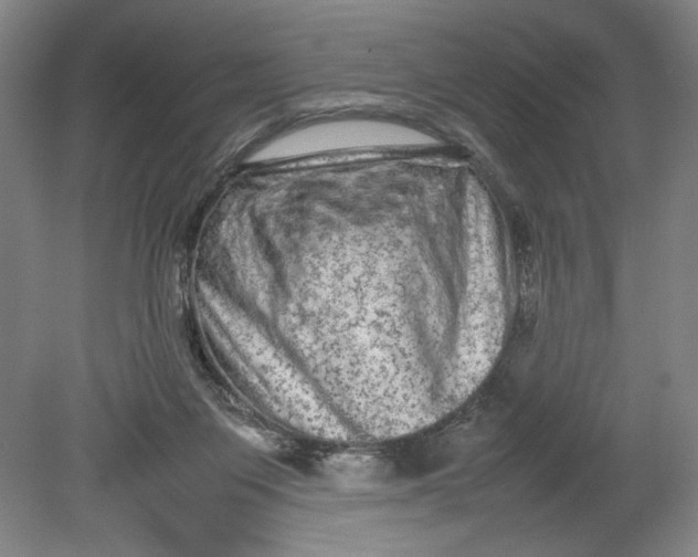 X0000080680119200701051044