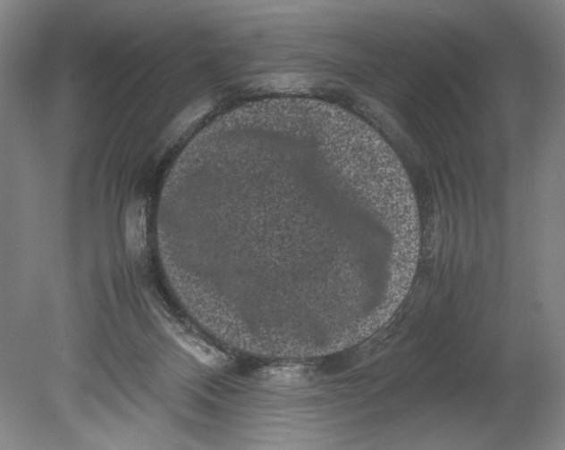 X0000080680120200701051044