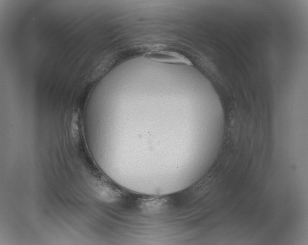 X0000080680122200701051044