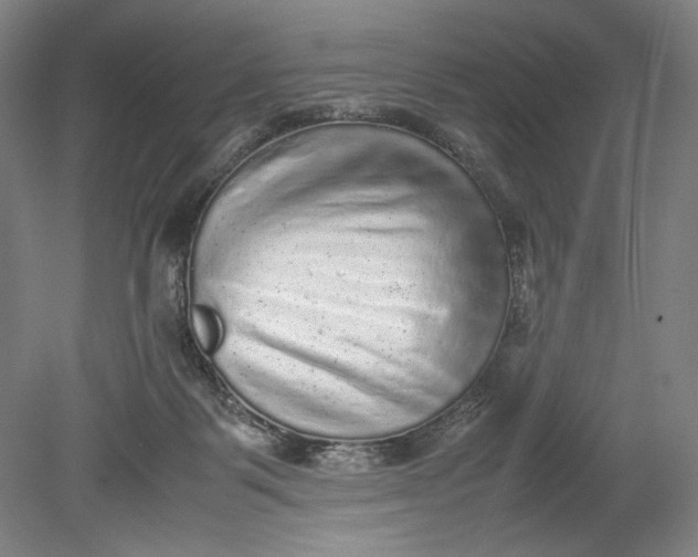 X0000080680123200701051044