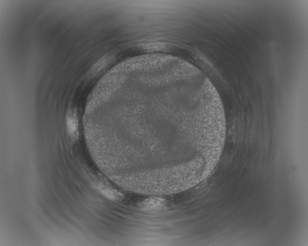 X0000080680124200701051044