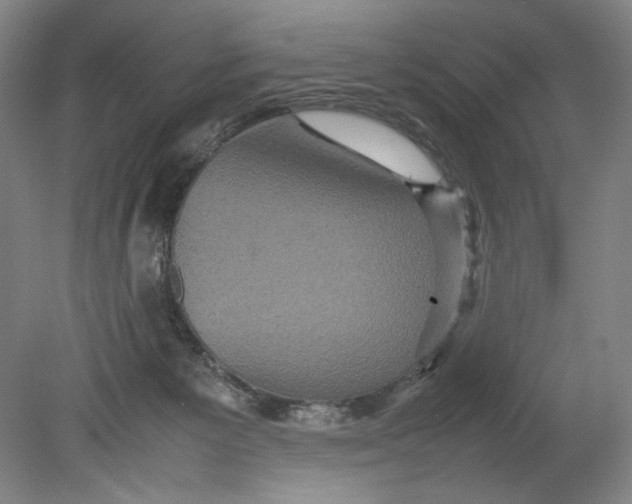 X0000080680125200701051044