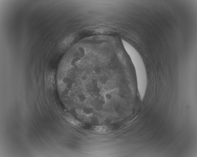 X0000080680127200701051044