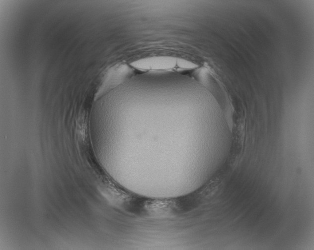 X0000080680129200701051044