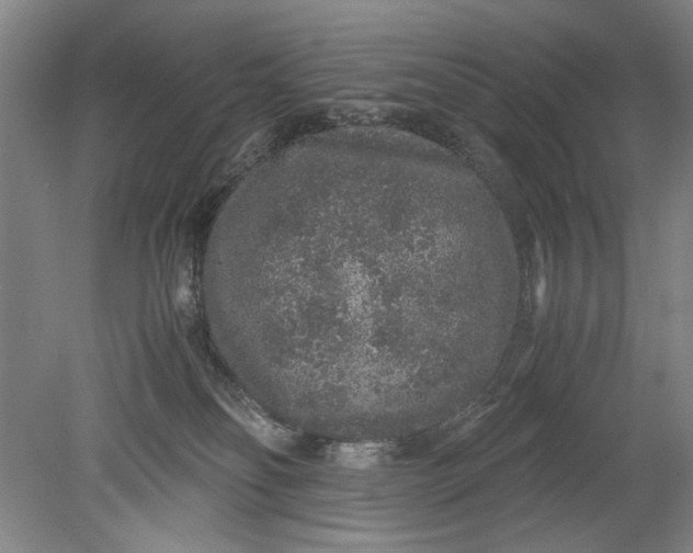 X0000080680134200701051044