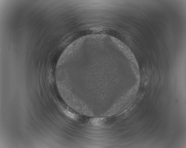 X0000080680136200701051044