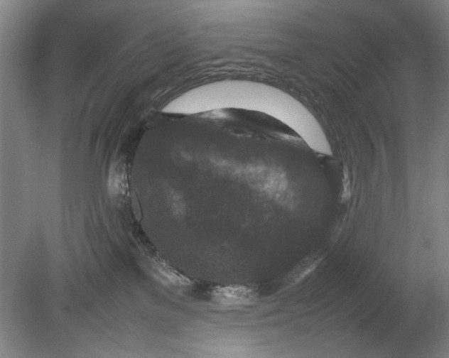 X0000080680137200701051044