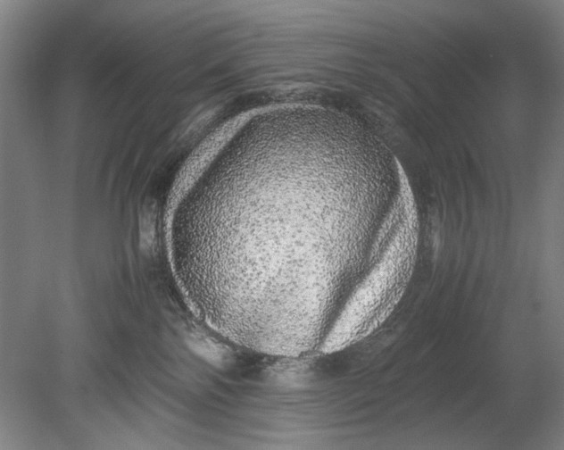 X0000080680138200701051044