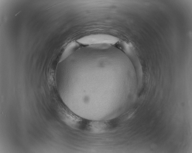 X0000080680141200701051044