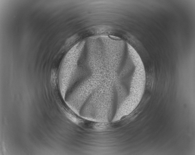 X0000080680142200701051044