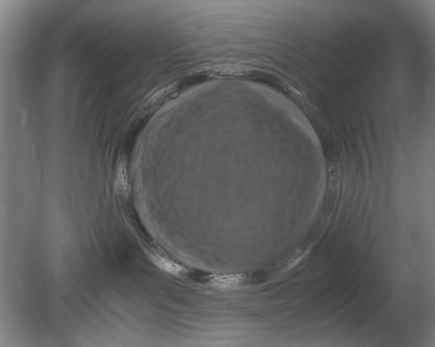 X0000080680143200701051044