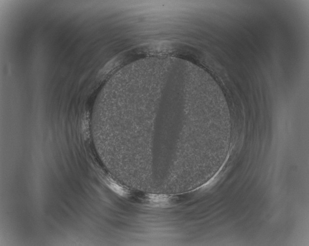 X0000080680144200701051044