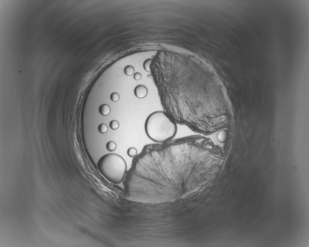 X0000080680145200701051043