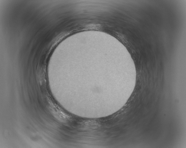 X0000080680146200701051043