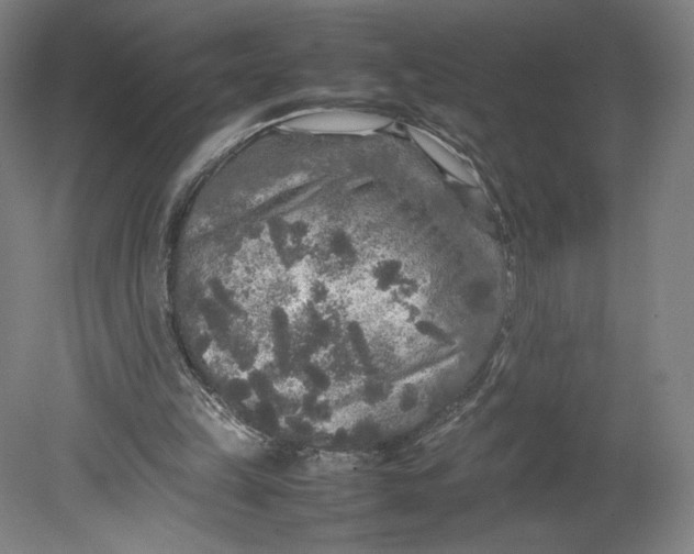 X0000080680149200701051043