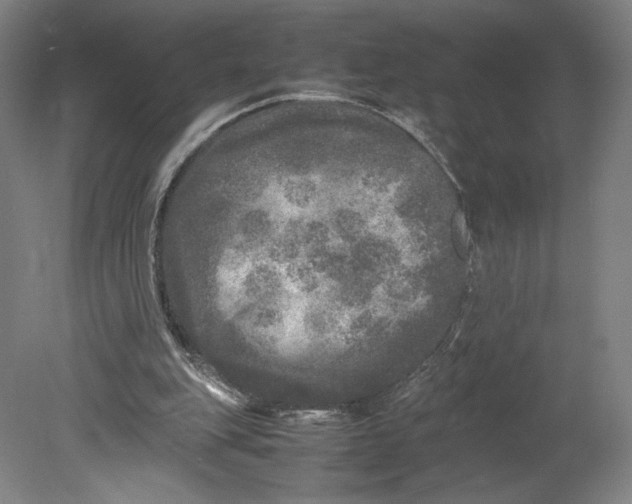 X0000080680151200701051043