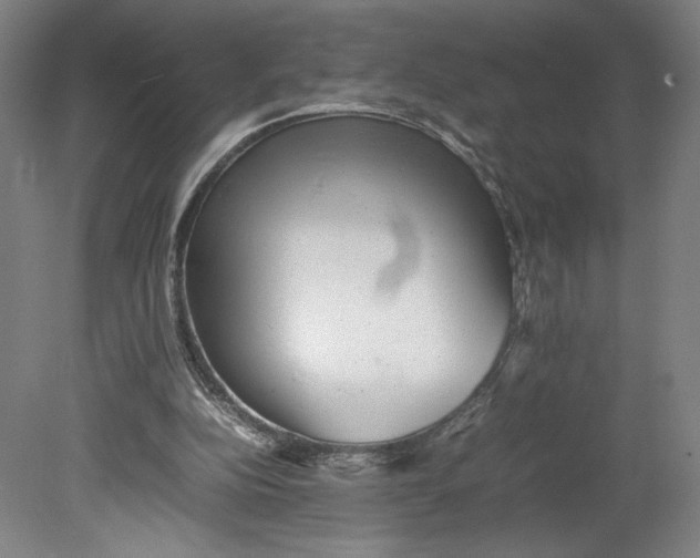 X0000080680152200701051043