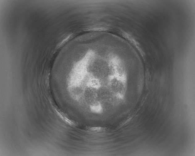 X0000080680153200701051043