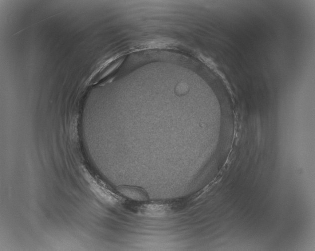 X0000080680154200701051043