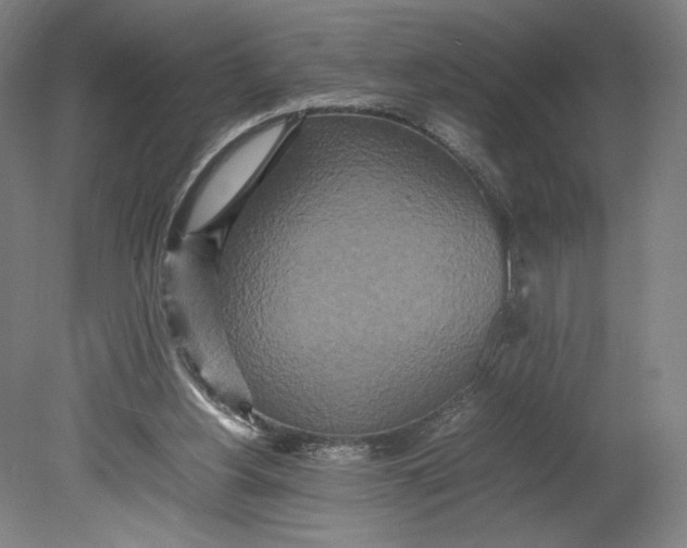 X0000080680156200701051043