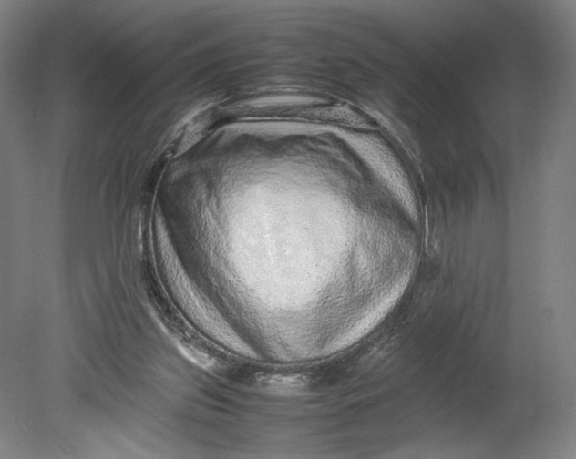 X0000080680157200701051043