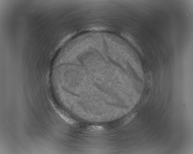 X0000080680159200701051043