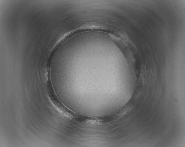 X0000080680160200701051043