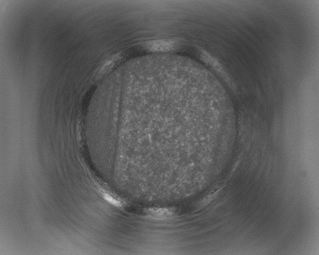 X0000080680161200701051043